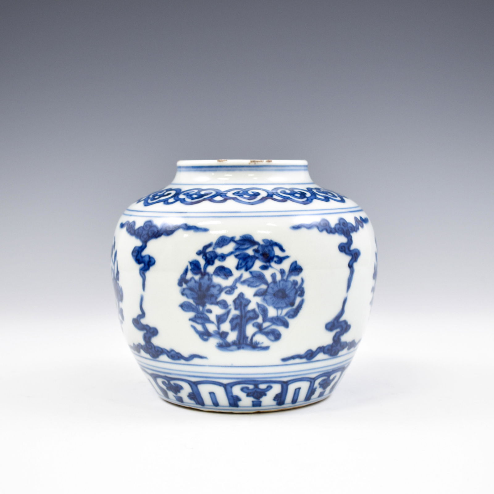 MING JIAJING BLUE AND WHITE FLORAL MEDALLION JAR (1 of 9)