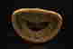 item-75935487=10