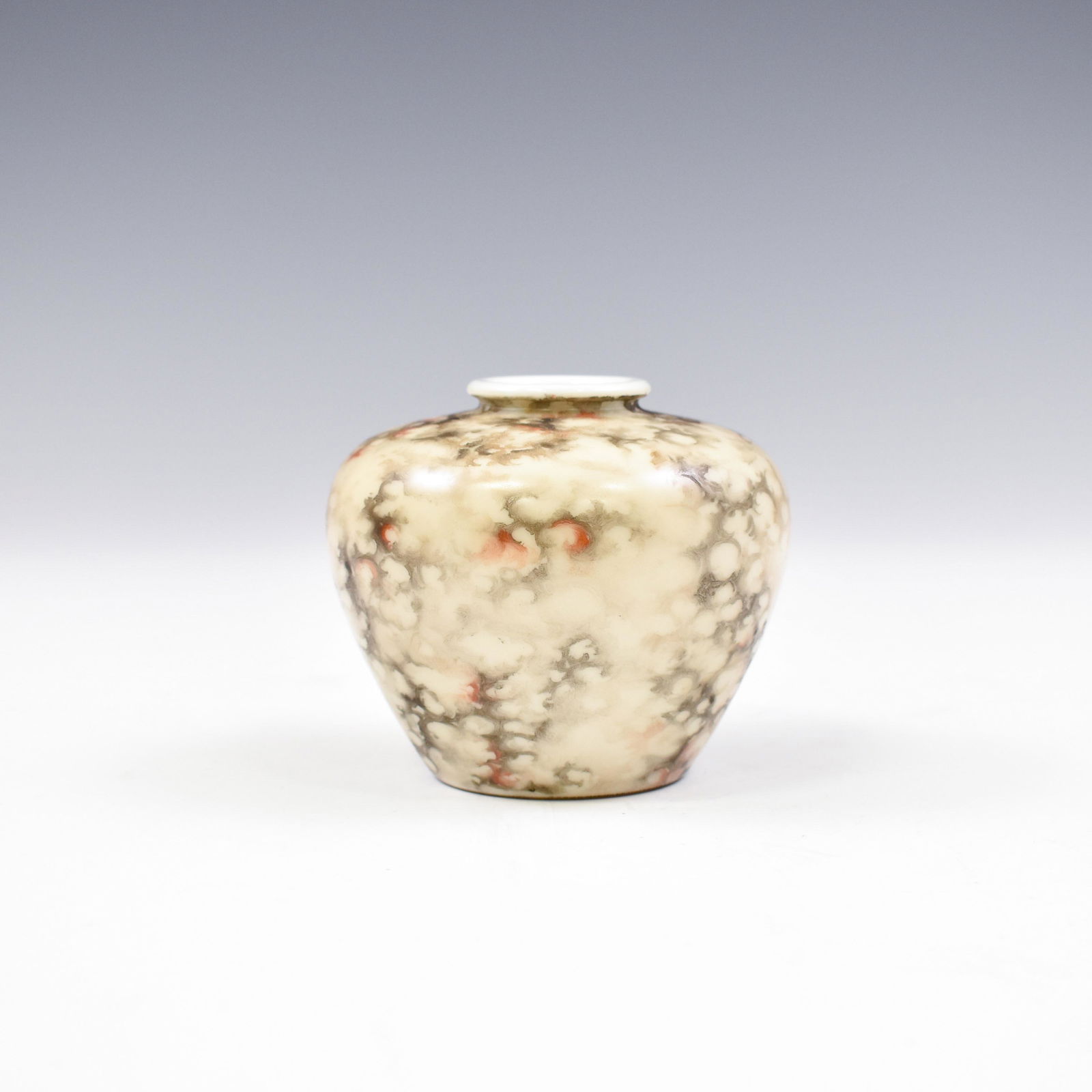 QIANLONG BRUSH WASHER (1 of 10)