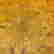 item-80798065=4
