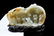 EIGHT IMMORTALS DOUBLE GOURD CARVED JADE ON STAND - 3