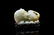 EIGHT IMMORTALS DOUBLE GOURD CARVED JADE ON STAND - 7