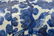 WANLI BLUE & WHITE MAGPIE & PRUNUS JAR - 8