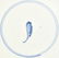 PAIR KANGXI BLUE & WHITE PLATES - 3