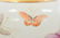 GUANGXU HUNDRED BUTTERFLY REWARD VASE - 10