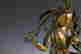 item-98214580=6