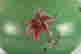 item-113712839=8