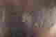 item-119689496=3