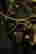 item-123308367=3