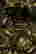 item-123308367=5