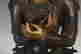 item-123308368=3