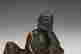 item-123308376=3