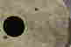 item-123308379=3