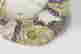 item-123308379=5