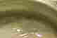 item-123308413=16