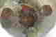 item-123308413=4