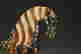 item-123308445=10