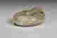 item-123308583=2