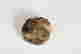 item-123308584=6