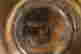 item-123308699=4
