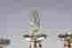 item-123308699=6