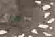 item-123308711=10