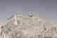 item-123308711=3