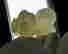 item-123309827=3