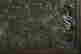 item-123309830=4