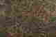 item-123309830=9