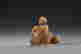 item-127024838=8