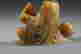 item-127024838=9