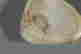 item-127024860=5