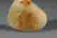 item-127024860=9