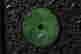 item-127026058=4