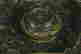 item-131941919=4
