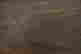 item-131942134=11