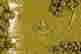 item-131942172=8