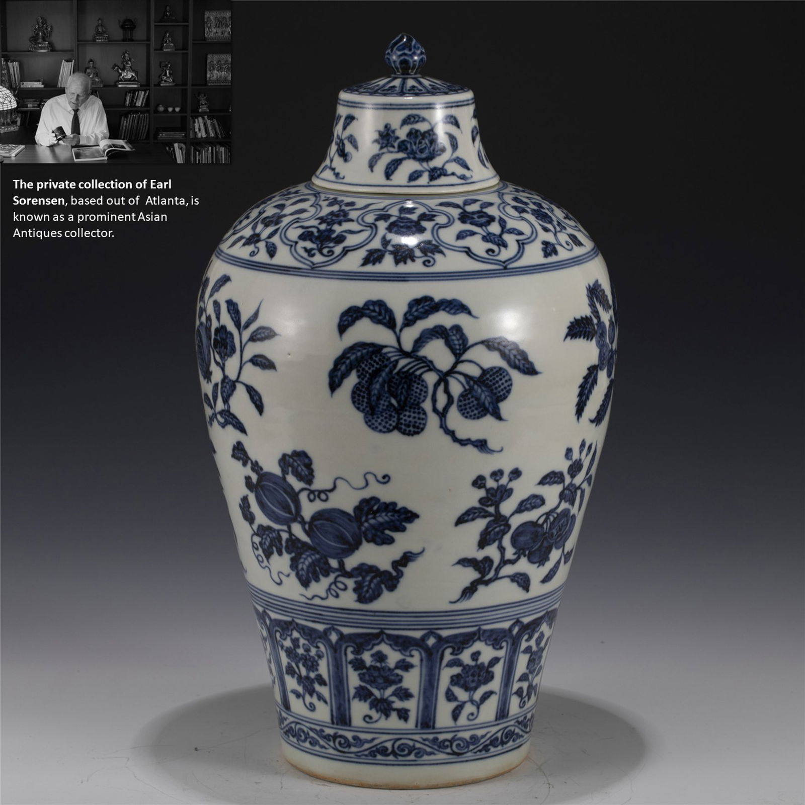 MING BLUE & WHITE PLUM VASE (1 of 11)