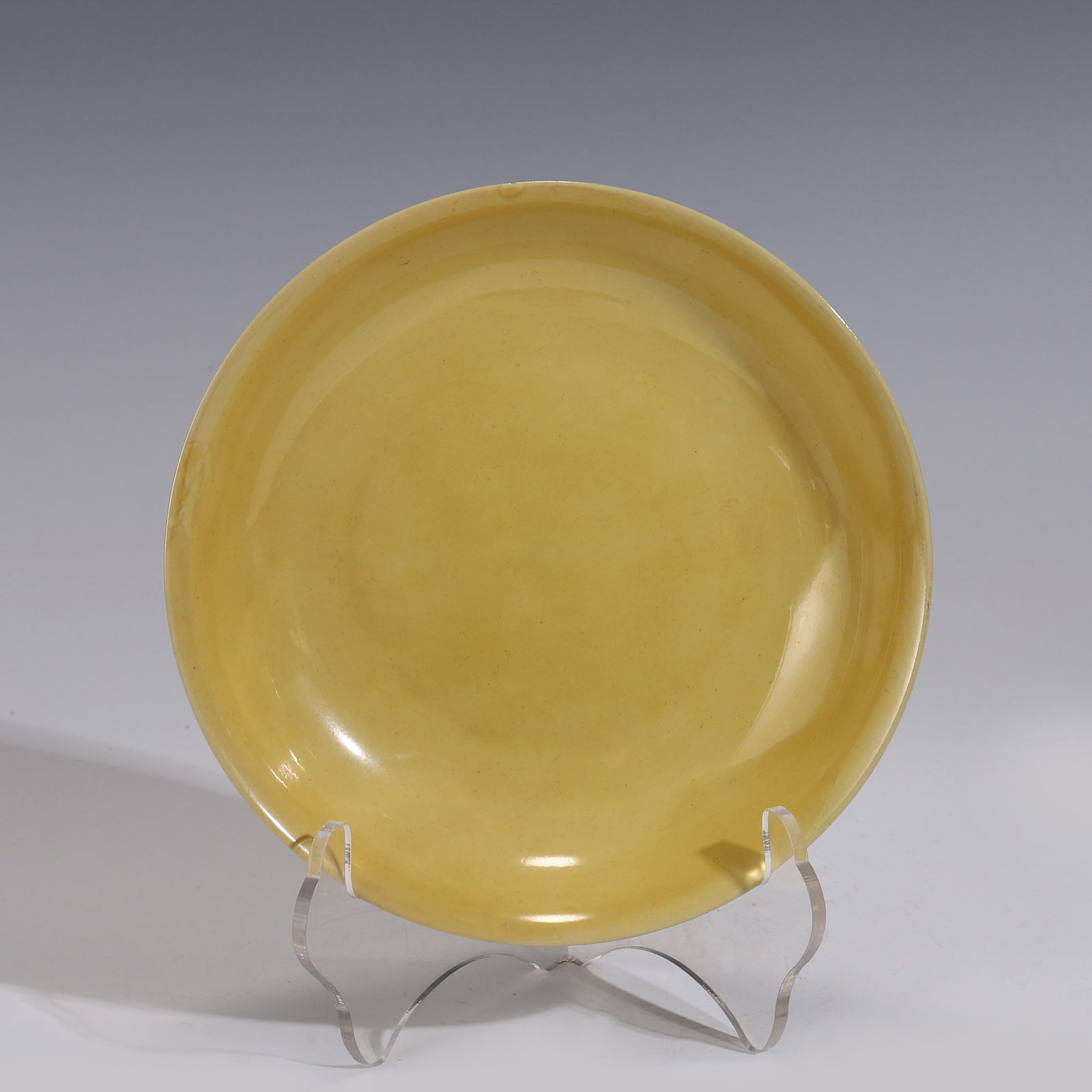 FAMILLE JAUNE MONOCHROME PLATE (1 of 6)