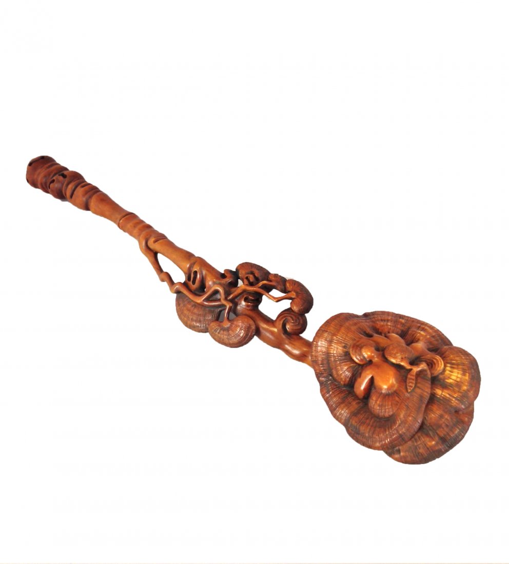 Chinese Carved HuangYanGMu Ruyi Scepter: China, carved HuangYangMu ruyi scepter, realistically carved with LingZhi fungus on a stem, with textured surface, and natural wood grain. Measure: 15 7/8" Length, 3 1/4" Width