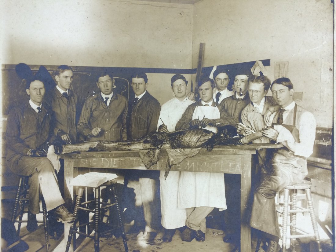 Old Medical Photograph "She Died So We Might Learn": Old Photograph of medical students doing anatomical study.. Nnames are written in pencil on the back, including: Frauto Kells Balard, John Chirley Sturart, Walter Clayton Page, William Henery Walker, 