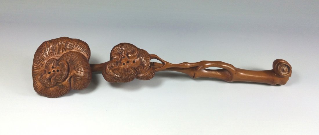A CARVED HUANGYANG WOOD RUYI SCEPTER: A Carved Chinese HUANGYANG Wood Ruyi Scepter, Having natural trunk design handles with LingZhi mushrooms resembled ruyi flanked on the top head scepter and the center. Dimension: 13-8/5"H x 3-1/2"W We