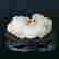item-38350202=6