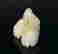 item-38350204=4