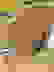 item-38350482=4