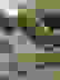 item-38350482=6