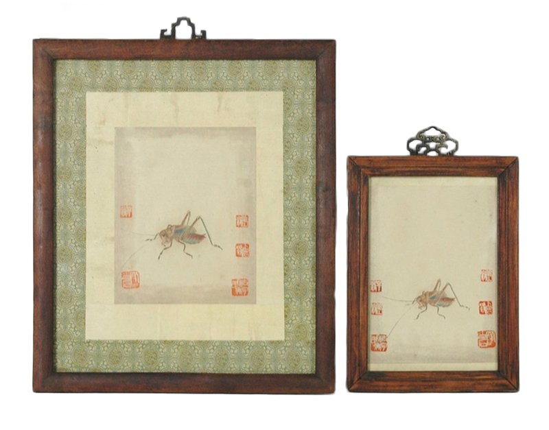PAIR OF FRAMED WATERCOLOR PAINTINGS OF INSECT (1 of 7)