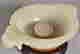 item-42842161=3