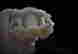 item-49930206=5